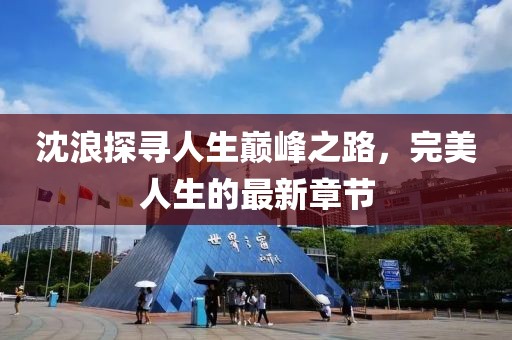 沈浪探尋人生巔峰之路，完美人生的最新章節(jié)