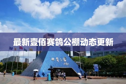 最新壹佰賽鴿公棚動態(tài)更新