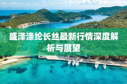 盛澤滌綸長絲最新行情深度解析與展望