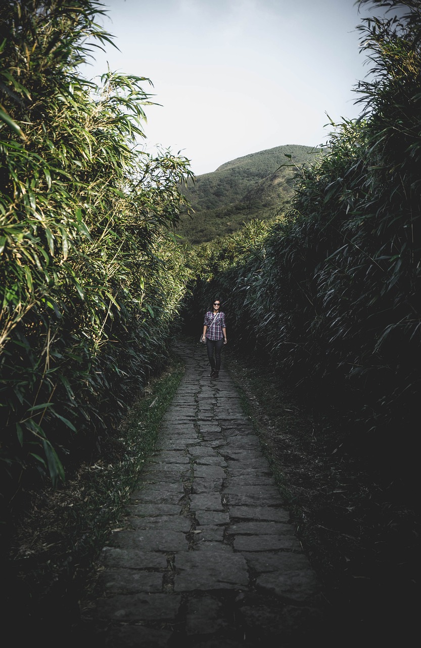 探索大自然神秘寶藏，自然藏奇珍之旅