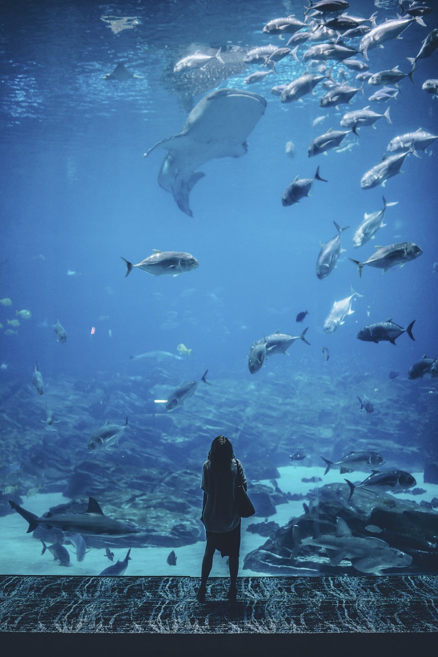 開心水族箱破解版背后的游戲犯罪問題及影響