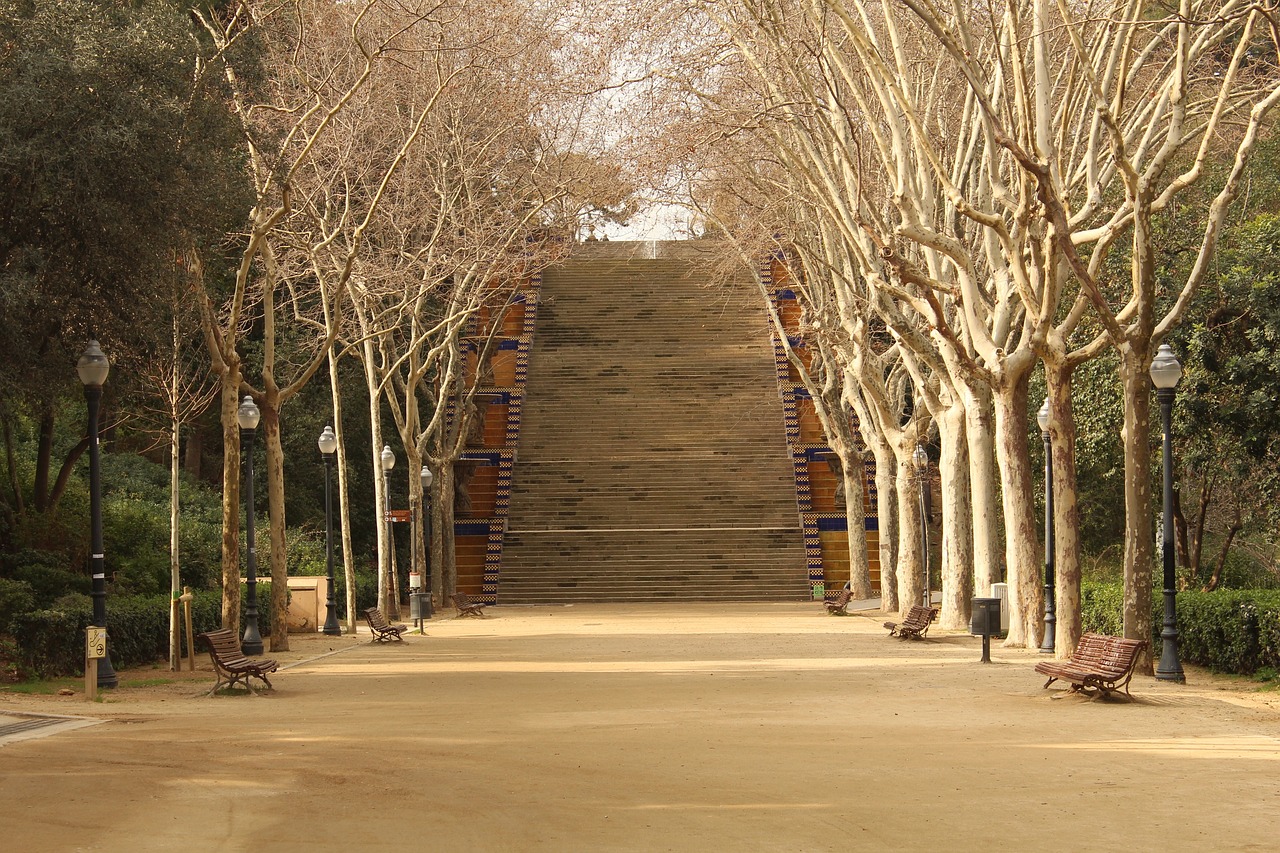 蒙內(nèi)鐵路最新運(yùn)營動(dòng)態(tài)，推動(dòng)非洲大陸交通革新進(jìn)程