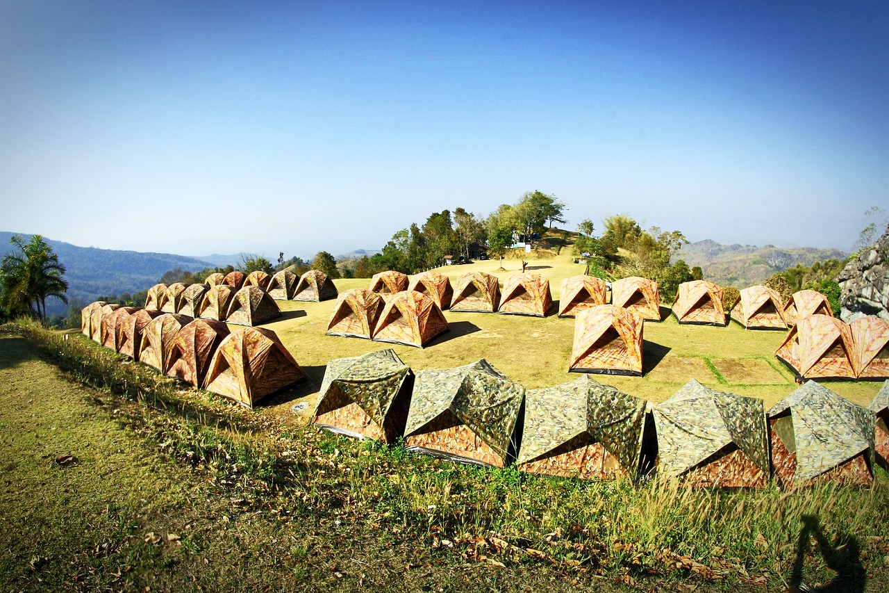 最新土地政策解讀，重塑土地資源利用與農(nóng)村發(fā)展藍(lán)圖，展望未來(lái)發(fā)展新篇章