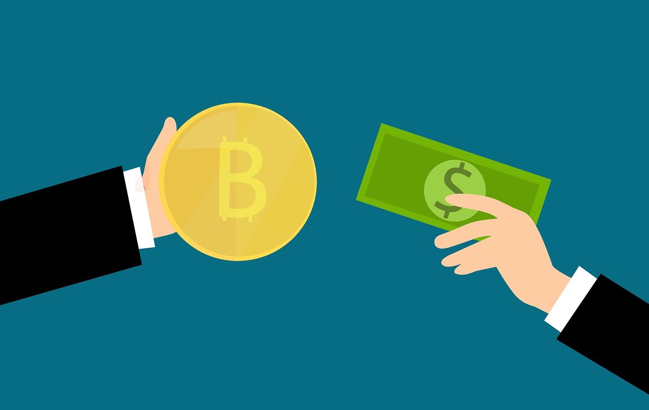 金安國際股票投資前景深度解析