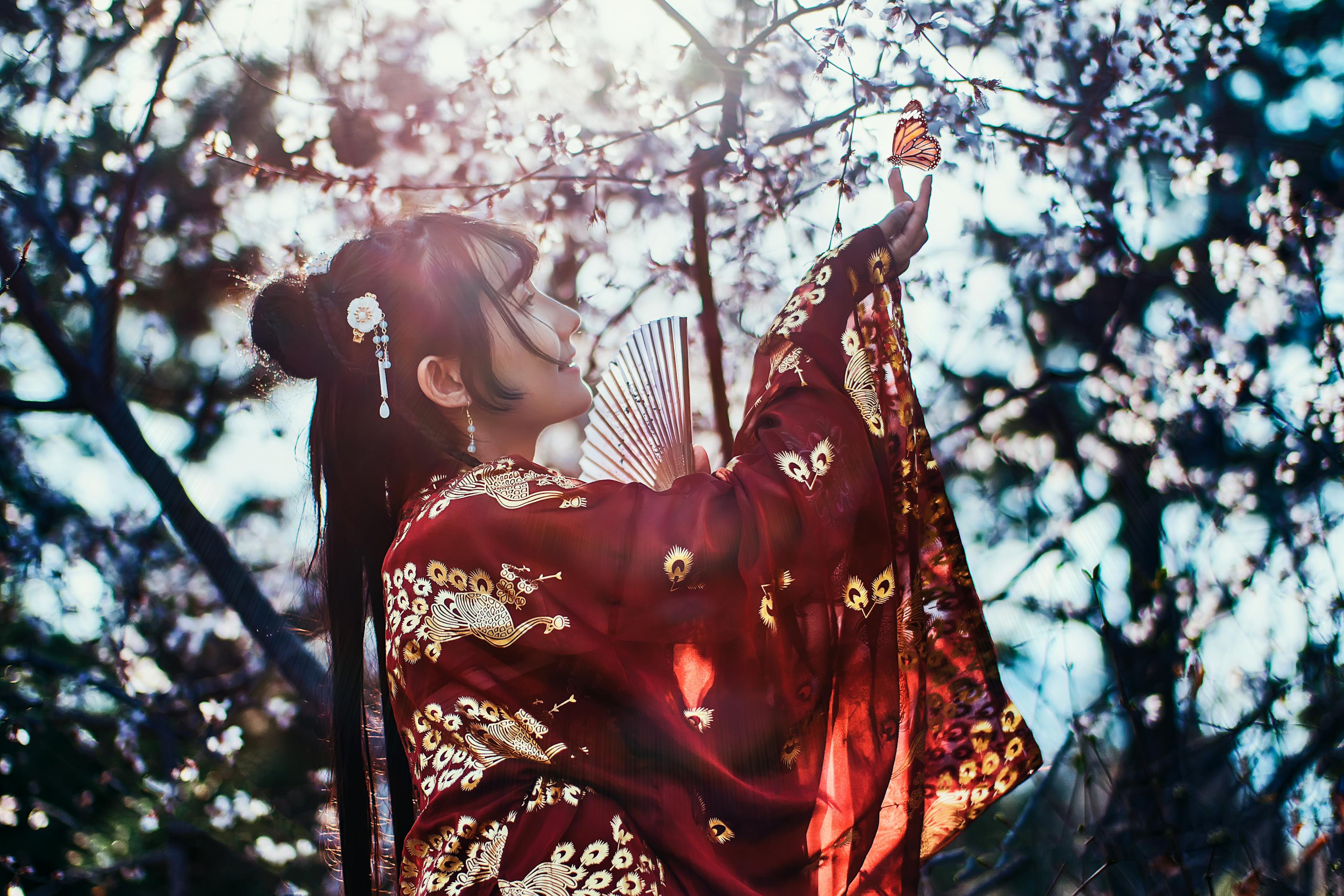 貂蟬動(dòng)漫，傳統(tǒng)與現(xiàn)代的完美融合之美