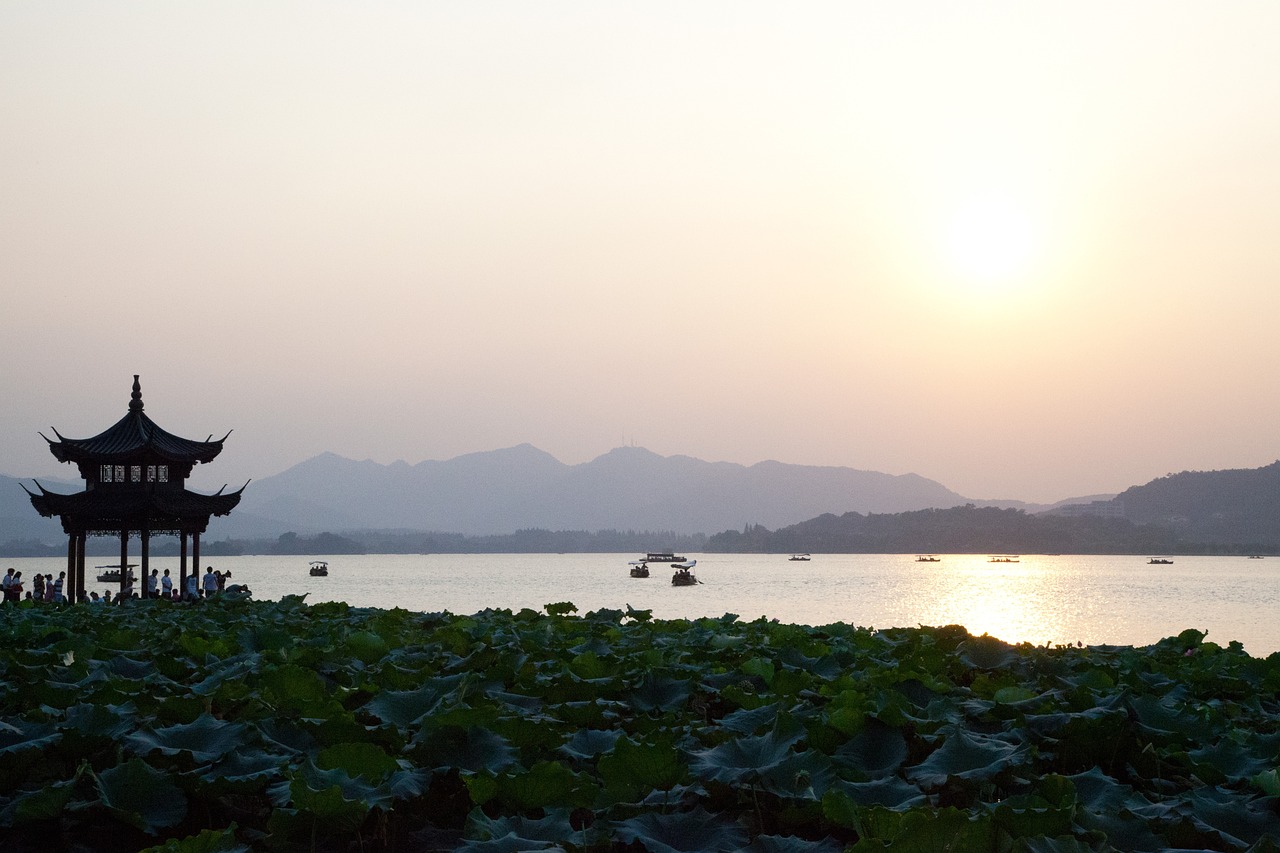 首創(chuàng)森林湖最新動(dòng)態(tài)資訊，引領(lǐng)綠色生態(tài)發(fā)展的先鋒力量