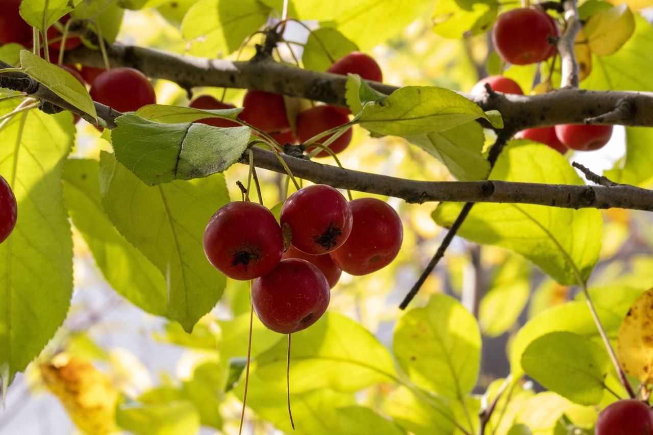 池州大渡口蓬勃發(fā)展新篇章，最新動態(tài)一網(wǎng)打盡