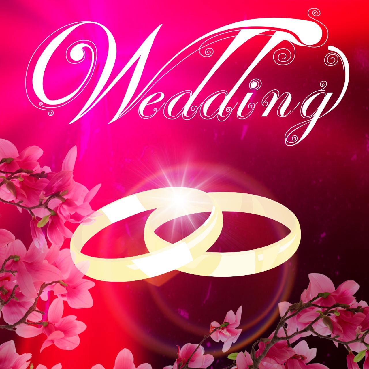 最新一期我們結(jié)婚了，愛情與生活的美好交織