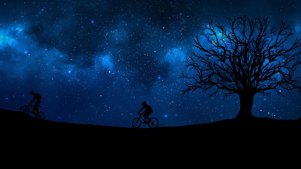 你是閃耀的明星，情感贊歌中的無(wú)盡光芒