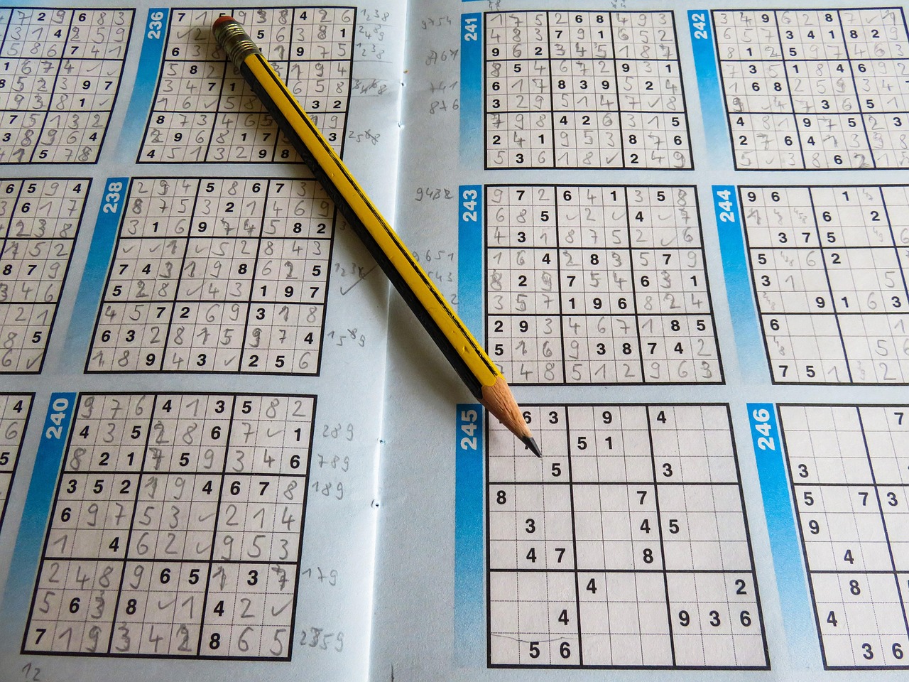 學(xué)?；@球比賽秩序冊(cè)全覽，賽事安排、規(guī)則與參賽指南