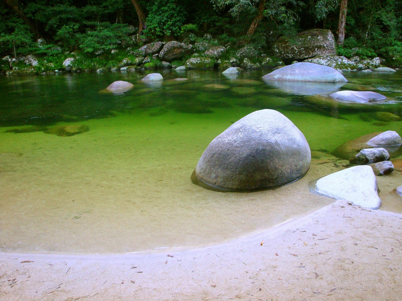 最新龜池設(shè)計(jì)圖片，構(gòu)建理想的龜類生態(tài)環(huán)境