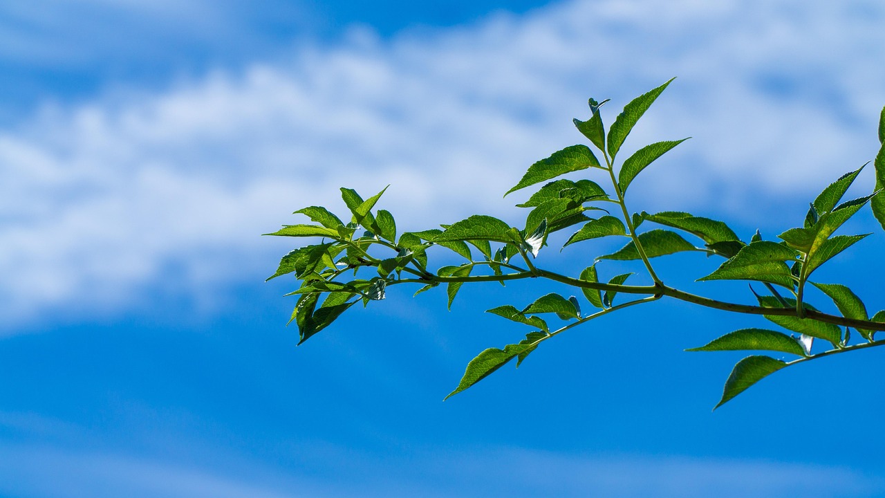 天津疫情最新動態(tài)，堅定信心，科學(xué)防控，共同抗擊疫情